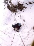 /Neige_Glace/2004/Images/793/Astarothe006Icon.jpg