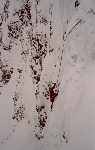 /Neige_Glace/2004/Images/795/DessousDessus002Icon.jpg
