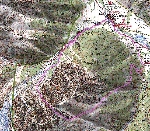 /Neige_Glace/2004/Images/798/PetitSillon005Icon.jpg