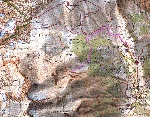 /Neige_Glace/2004/Images/804/CombeChave03Icon.jpg