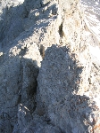 /Neige_Glace/2004/Images/826/MontPerdu026Icon.jpg