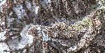 /Neige_Glace/2004/Images/827/Ailefroide65Icon.jpg