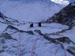 /Neige_Glace/2004/Images/839/ColBete165Icon.JPG