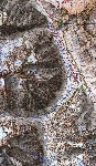 /Neige_Glace/2004/Images/839/ColBete650Icon.jpg
