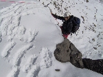 /Neige_Glace/2005/Images/854/Bisounours083Icon.jpg