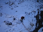 /Neige_Glace/2005/Images/855/Fracastorus010Icon.jpg