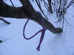 /Neige_Glace/2005/Images/856/Legende033Icon.jpg
