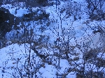 /Neige_Glace/2005/Images/857/Bons011Icon.jpg