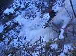 /Neige_Glace/2005/Images/857/Bons012Icon.jpg