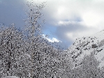 /Neige_Glace/2006/Images/873/fournel031Icon.JPG