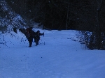/Neige_Glace/2006/Images/880/Vaujany001Icon.JPG