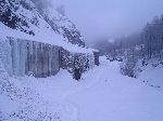 /Neige_Glace/2006/Images/885/Caturgeasbis003Icon.jpg
