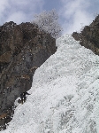 /Neige_Glace/2006/Images/885/Caturgeasbis026Icon.jpg