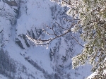 /Neige_Glace/2006/Images/885/Caturgeasbis033Icon.jpg