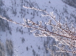 /Neige_Glace/2006/Images/885/Caturgeasbis034Icon.jpg