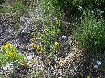 /Neige_Glace/2006/Images/898/rateau07Icon.JPG