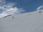 /Neige_Glace/2007/Images/926/Fretails040Icon.JPG