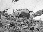 /Neige_Glace/2007/Images/927/CoupSabre012Icon.jpg