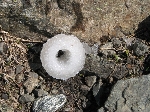 /Neige_Glace/2007/Images/928/IMG_24xIcon.JPG