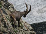 /Neige_Glace/2007/Images/939/IMG_34Icon.JPG