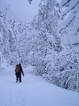 /Neige_Glace/2008/Images/959/mini-photo03Icon.JPG