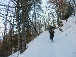 /Neige_Glace/2008/Images/963/Cocotier0010Icon.jpg