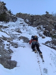 /Neige_Glace/2008/Images/963/Cocotier0015Icon.jpg