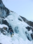 /Neige_Glace/2008/Images/963/Cocotier0030Icon.jpg