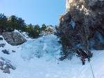 /Neige_Glace/2008/Images/963/Cocotier0055Icon.jpg
