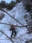 /Neige_Glace/2008/Images/963/Cocotier0060Icon.jpg