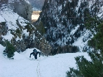 /Neige_Glace/2008/Images/963/Cocotier0066Icon.jpg