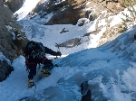 /Neige_Glace/2008/Images/963/Cocotier0080Icon.jpg