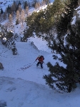 /Neige_Glace/2008/Images/963/Cocotier0095Icon.jpg
