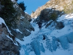 /Neige_Glace/2008/Images/963/Cocotier0100Icon.jpg