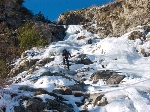 /Neige_Glace/2008/Images/963/Cocotier0140Icon.jpg