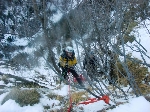 /Neige_Glace/2008/Images/964/Bissextile0020Icon.jpg