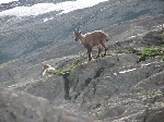 /Neige_Glace/2008/Images/974/IMG_10Icon.JPG