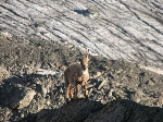 /Neige_Glace/2008/Images/974/IMG_11Icon.JPG