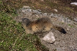 /Neige_Glace/2008/Images/977/GdeCasse0030Icon.JPG