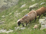 /Neige_Glace/2008/Images/981/IMG_6860Icon.JPG