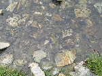 /Neige_Glace/2008/Images/981/IMG_6871Icon.JPG