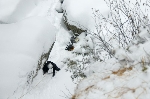 /Neige_Glace/2008/Images/988/CascadeArcelle0025Icon.jpg