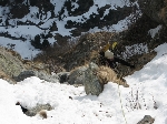 /Neige_Glace/2009/Images/998/CombeOursiere00004Icon.JPG