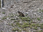 /Neige_Glace/2009/Images/999/IMG_20Icon.JPG