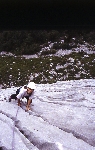 /Rocher/2004/Images/380/DevilsTower040Icon.JPG