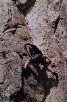 /Rocher/2004/Images/625/DentellesMontmirail0080Icon.jpg