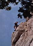 /Rocher/2004/Images/625/DentellesMontmirail0090Icon.jpg
