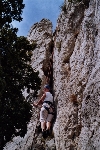 /Rocher/2004/Images/625/DentellesMontmirail0120Icon.jpg