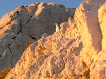 /Rocher/2005/Images/409/Image021Icon.jpg