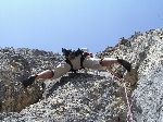 /Rocher/2005/Images/411/Image16Icon.JPG
